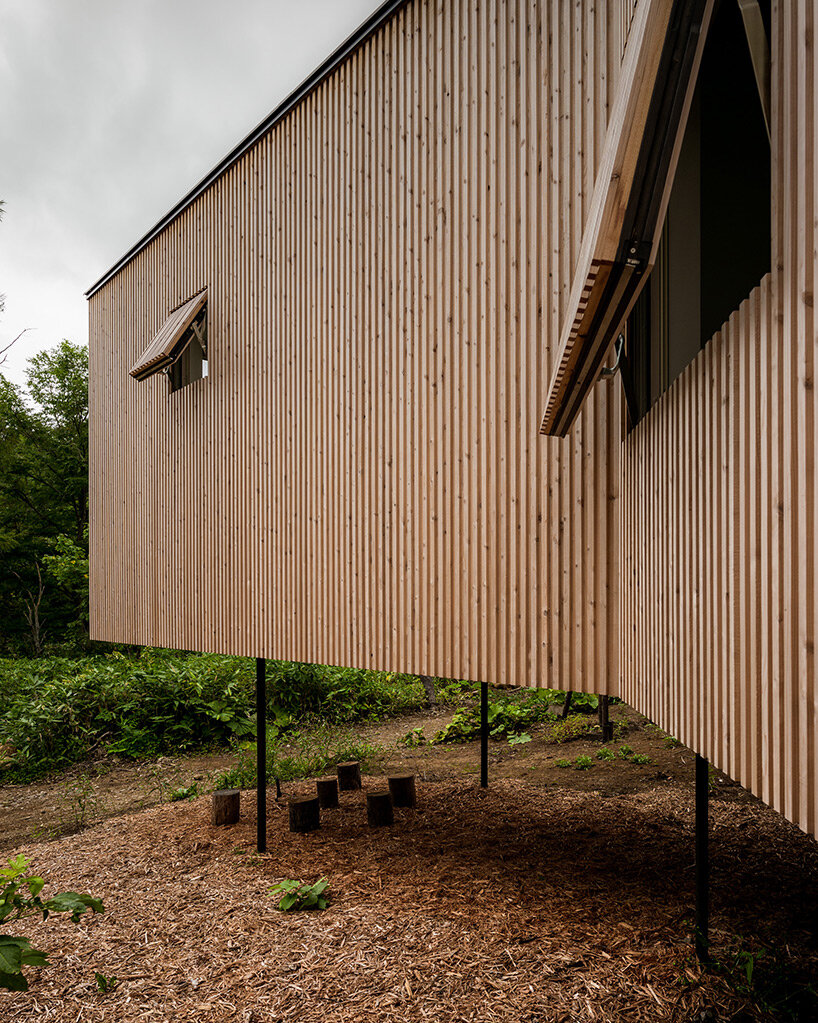 'house in the forest' by florian busch architects is a remote retreat in the woods of hokkaido