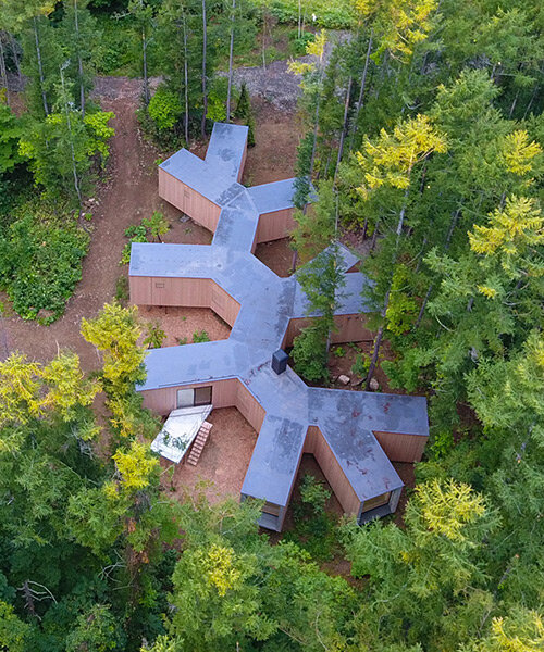 'house in the forest' by florian busch architects is a remote retreat in the woods of hokkaido