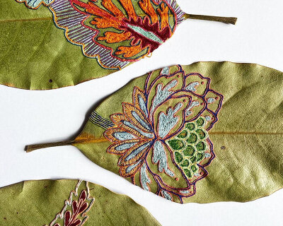 hillary waters fayle stitches + embroiders leaves with botanical patterns