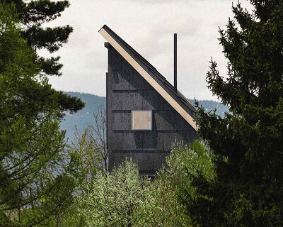 mimo architects envision forest cabin that 'smiles up at the sky'