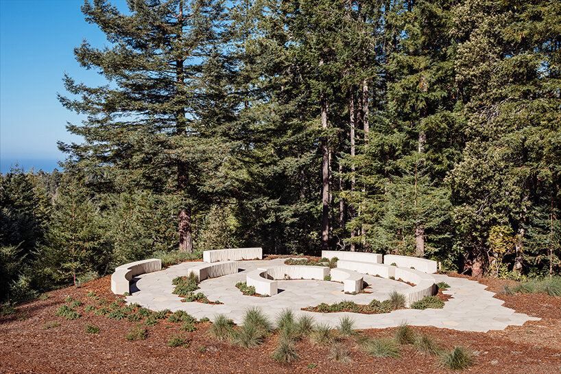 better place forest OPENSCOPE