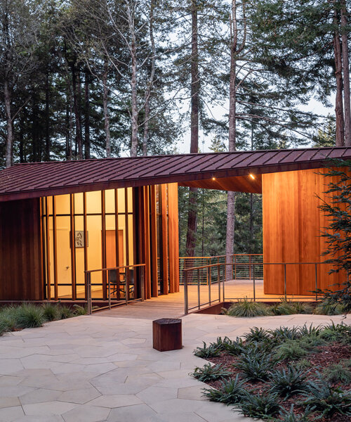 openscope gently frames california's better place forest with its timber visitor center