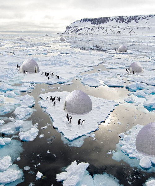 sajjad navidi conceives a 'penguin protection system' to control melting polar ice