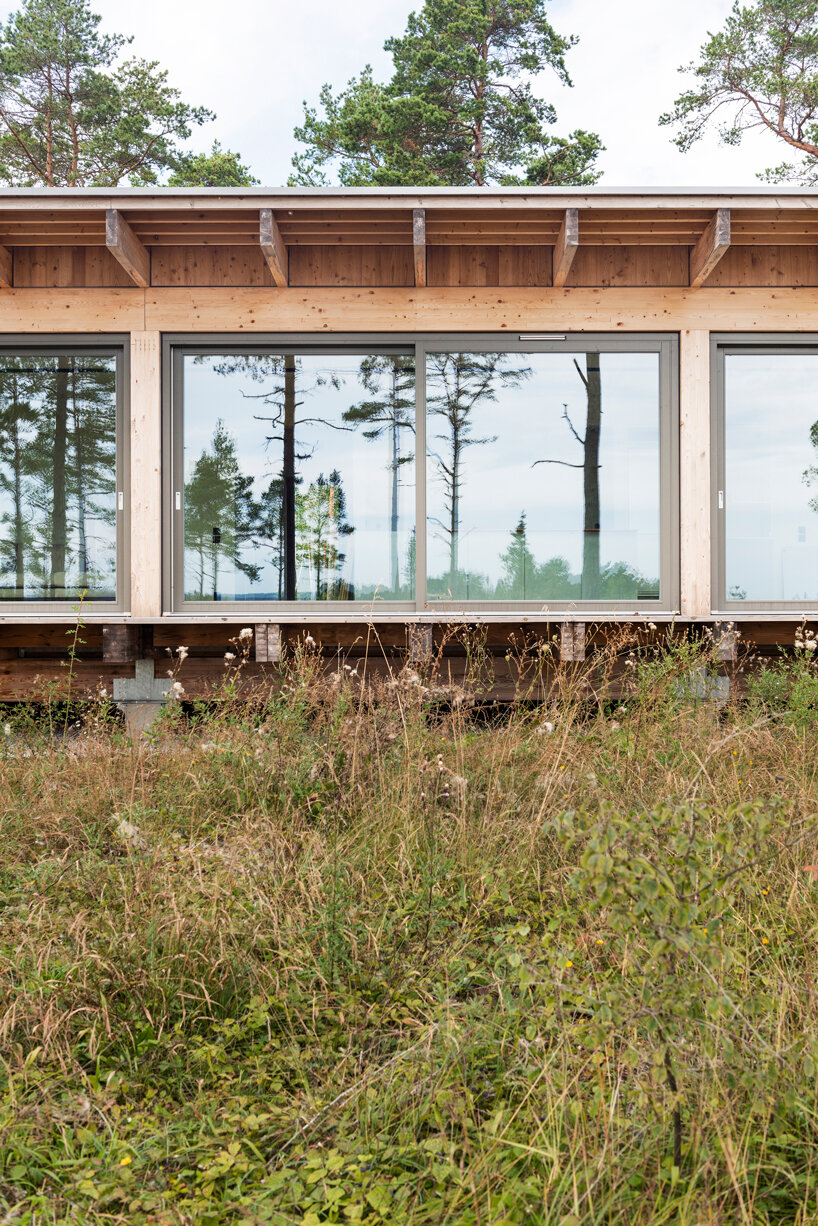 scott rasmusson källander builds five timber houses on a swedish island designboom