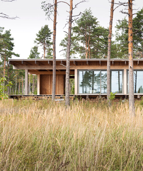 scott rasmusson källander builds five solid timber houses on a swedish island
