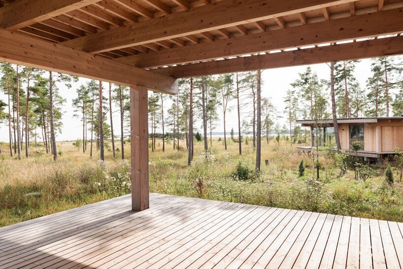 scott rasmusson källander builds five timber houses on a swedish island designboom