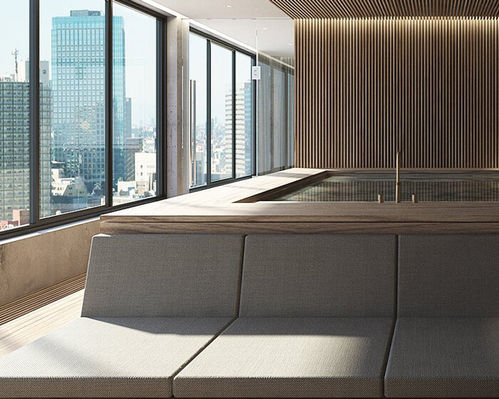 a bathtub overlooks tokyo's skyline in this apartment renovation by NAO