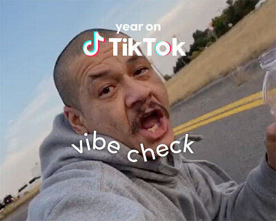 tiktok unveils the TOP 10 viral videos of 2020