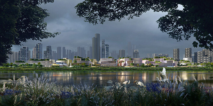 zaha hadid masterplan shenzhen