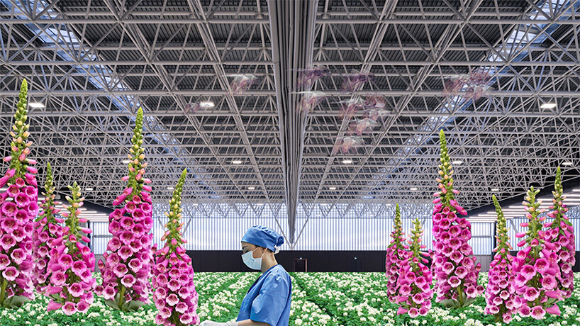 OMA + reinier de graaf explore the 'hospital of the future' in new short film