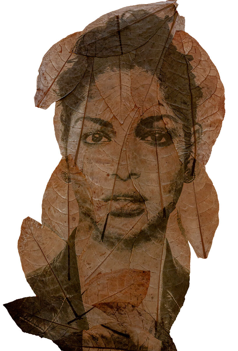 almudena romero uses sunlight to print images directly onto leaves