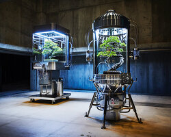 azuma makoto continues his futuristic 'paludarium' series of bonsai ecospheres