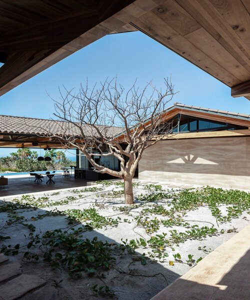 dellekamp arquitectos frames views of the rugged mexican coastline with cabo house