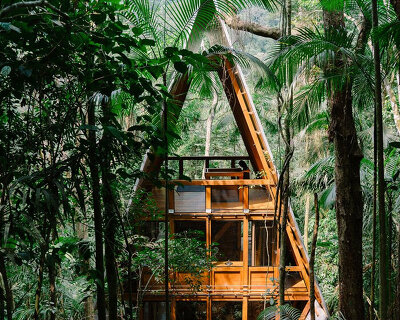 atelier marko brajovic completes forest-inspired 'monkey house' in paraty, brazil
