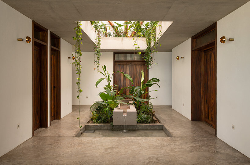 PALMA mirlo house mexico