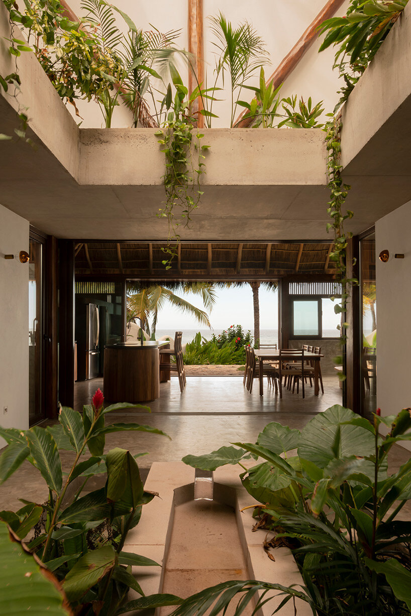 PALMA mirlo house mexico