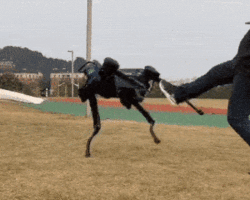 researchers teach robots to learn just like humans - by trial and error