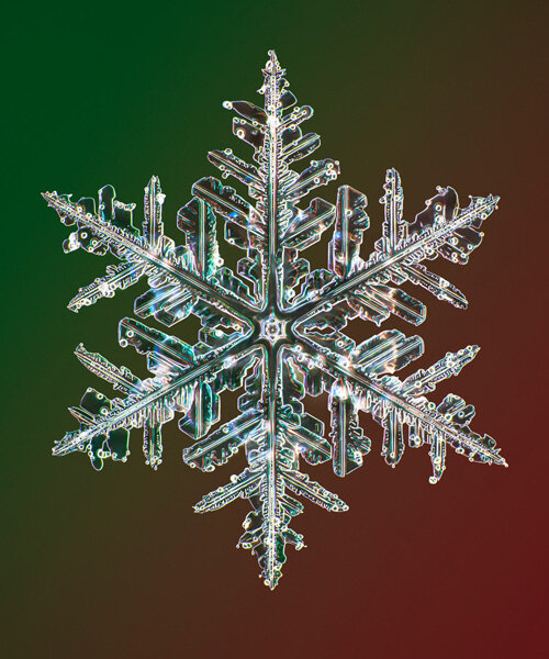 the world's highest-resolution snowflake camera captures the intricate beauty of ice crystals
