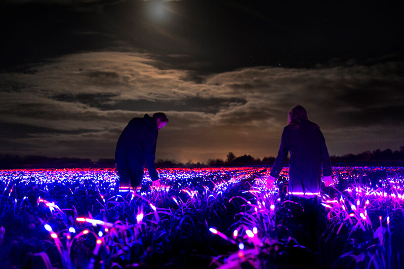 daan roosegaarde GROW is a dreamy light installation that enhances plant growth