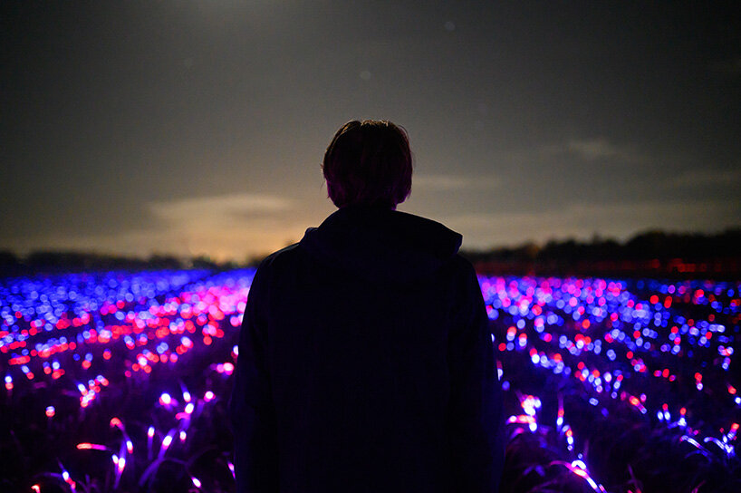 daan roosegaarde's GROW is a dreamy light installation that enhances plant growth