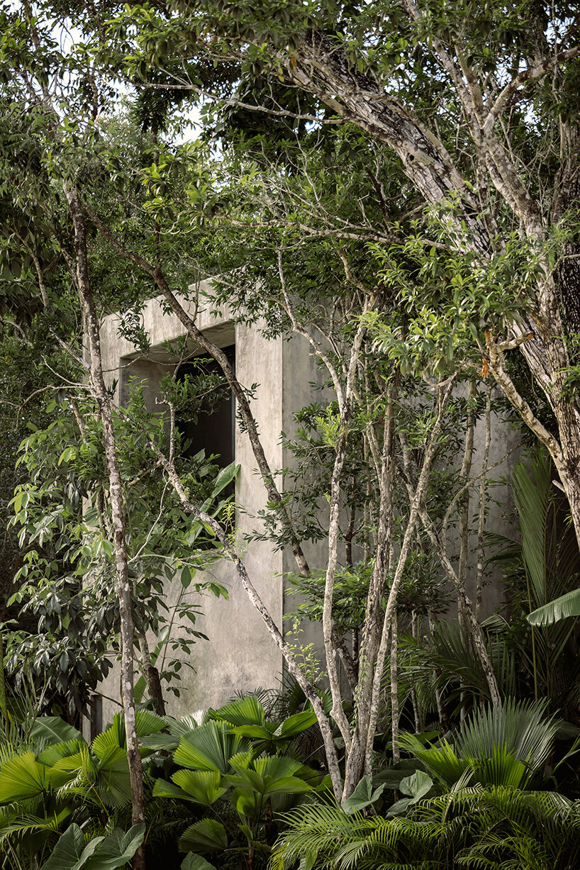 casa aviv by CO-LAB discretely occupies its jungle plot in tulum, mexico