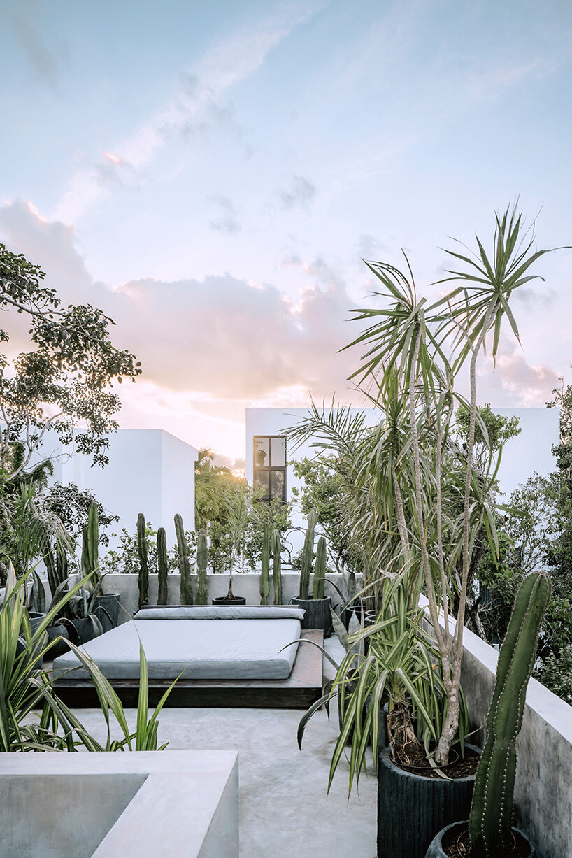 casa aviv by CO-LAB discretely occupies its jungle plot in tulum, mexico
