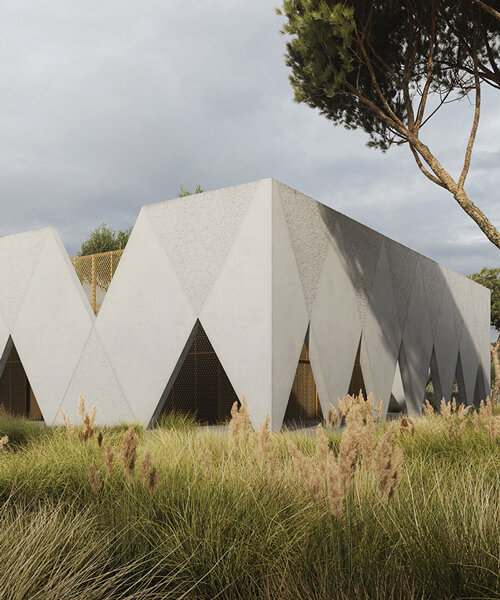 arthur adamczyk envisions the 'arcaded house' with a geometric outer shell