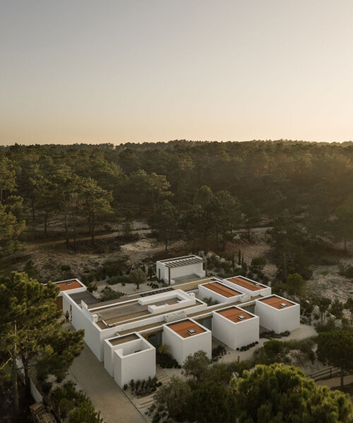 a house of white volumes nestles into a pine forest on the coast of portugal