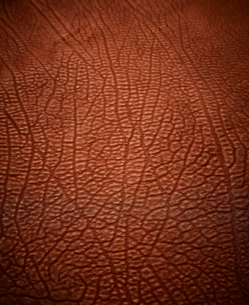 charm of grace kelly and grace jones inspired freifrau's namesake armchair