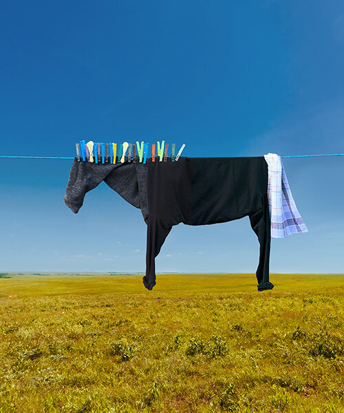 helga stentzel hangs clothes to create surreal farm animal illusions