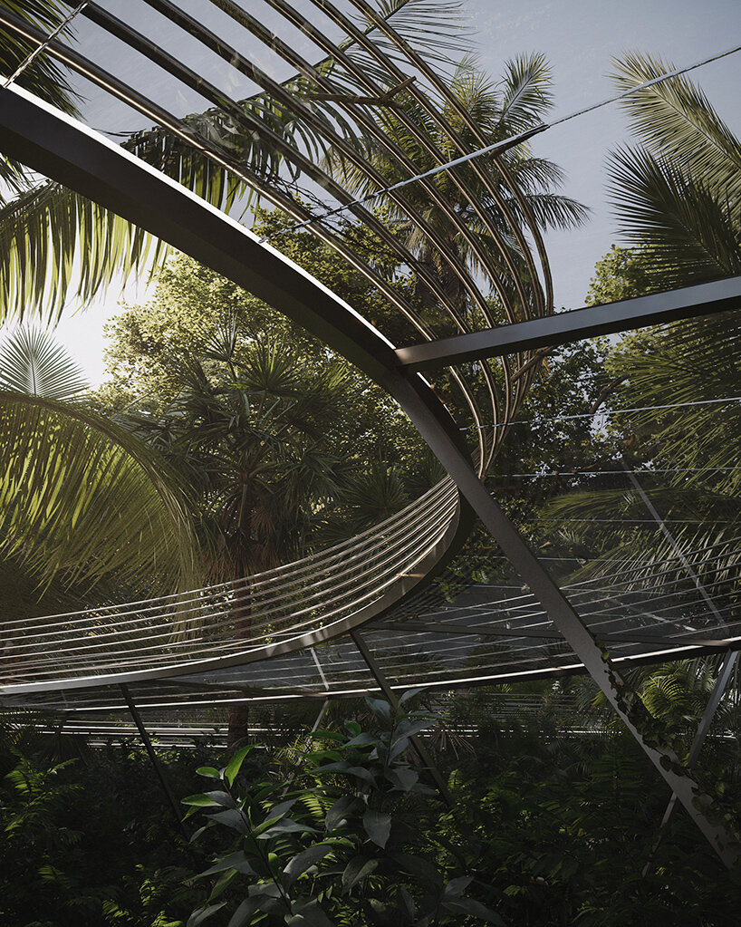 iryna nalyvaiko jungle