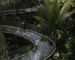 iryna nalyvaiko imagines an elevated glass footbridge that celebrates its jungle context