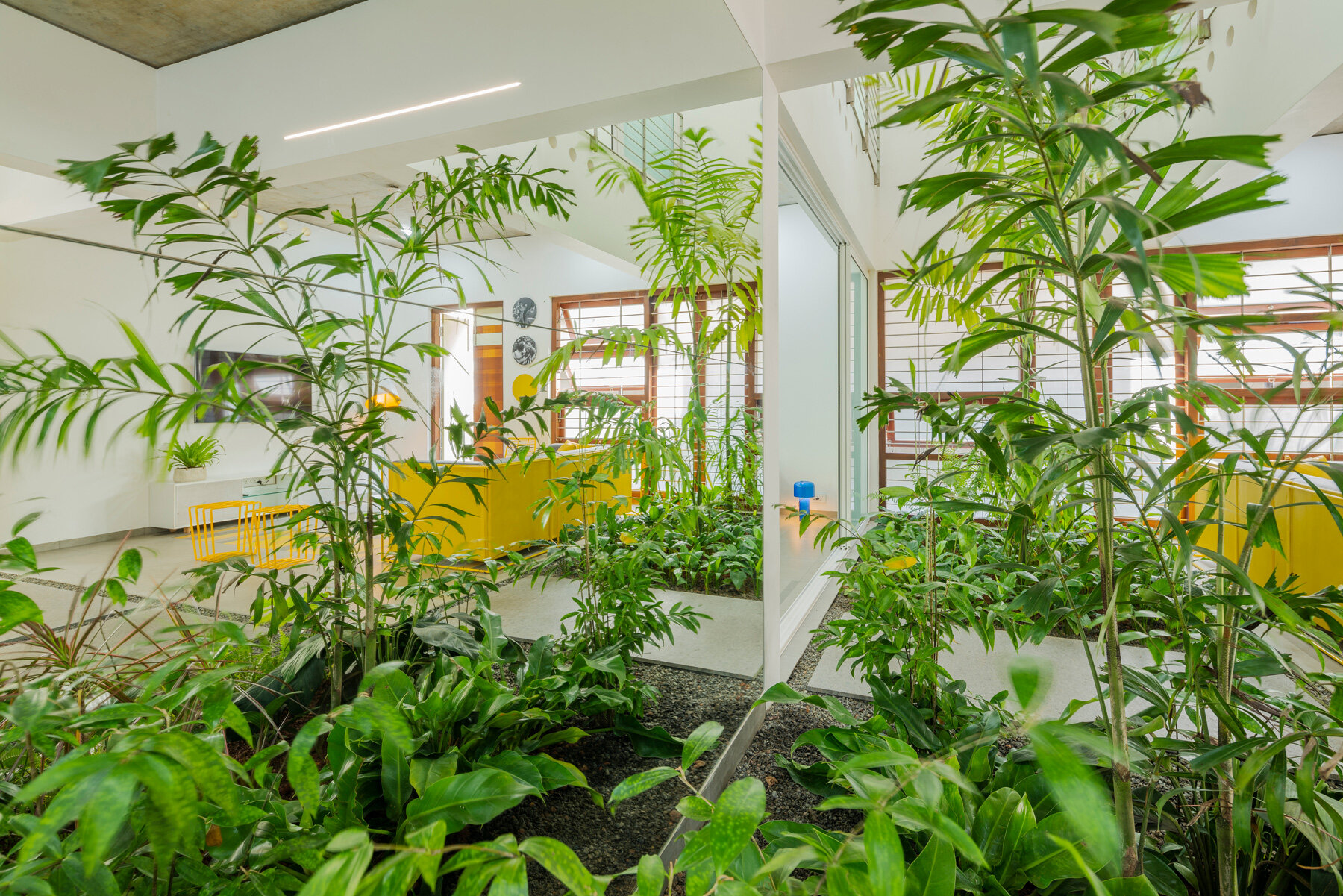 lijo-reny-architects-house-that-rains-light-kerala-india-designboom-1800b