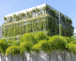 MIA design studio builds own office in vietnam as open plan volume wrapped in greenery