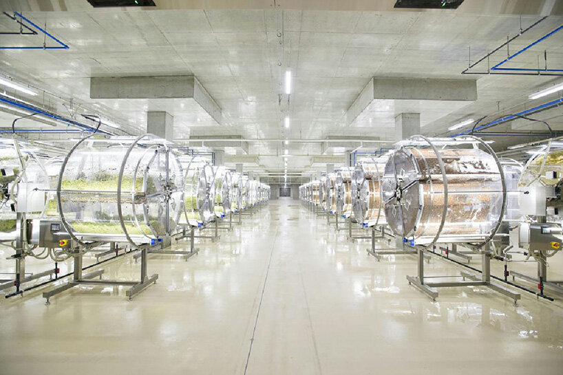 japan opens the super sprout factory, an artificially-lit type plant factory
