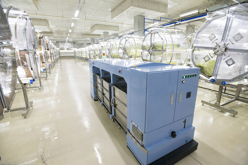 japan opens the super sprout factory, an artificially-lit type plant factory