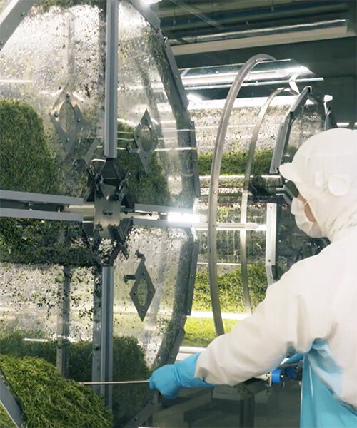 japan opens the super sprout factory, an artificially-lit type plant factory