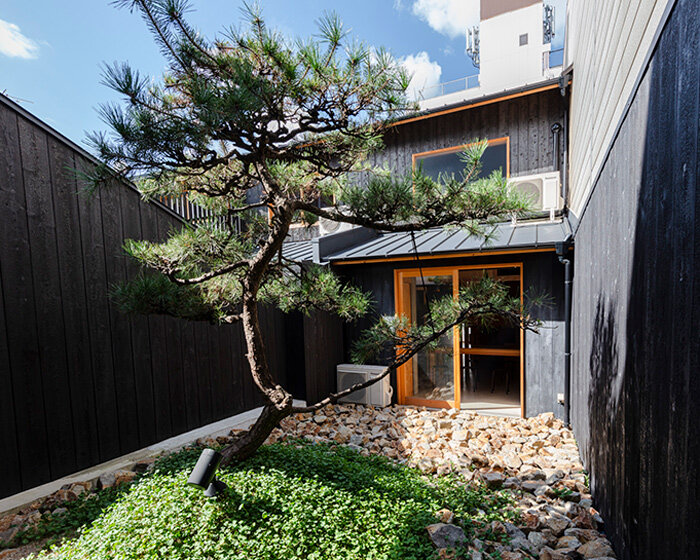 OFEA renovates japanese rowhouses to create 'contexted' lodgings in osaka