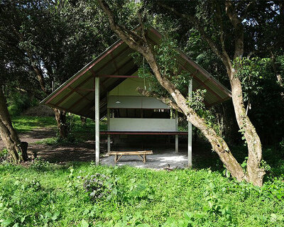 bangkok tokyo architecture uses recycled materials to construct cabin for thai rice farmers