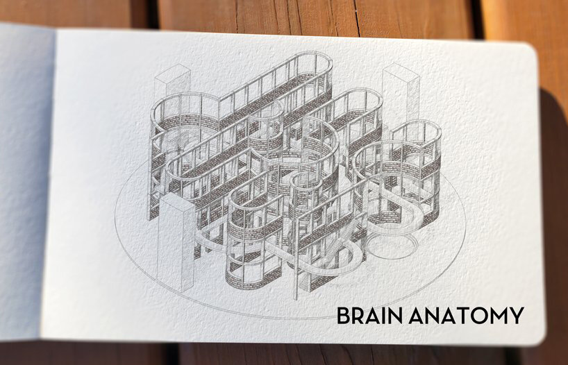 the human bran inspires bollingen's design for songdo library, south korea designboom