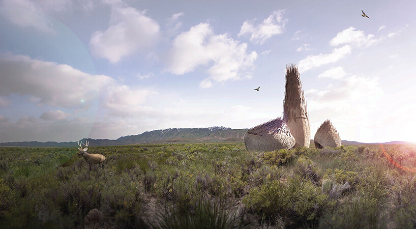 burning man is planning a sustainable, permanent space called fly ranch