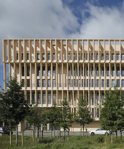 grafton architects articulates university building in paris around large 'garden room'