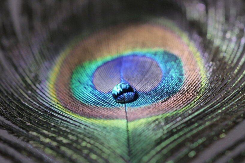 japanese researchers develop new material that changes color with pressure detection