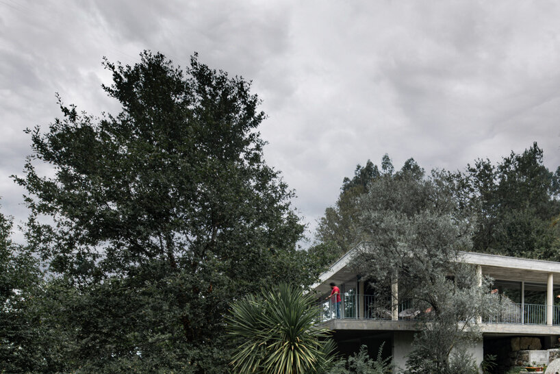 João marques franco desenha uma casa no topo da árvore no Norte de Portugal Designboom