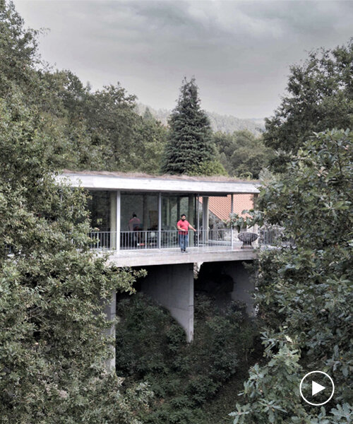 nature takes over the treetop house in northern portugal, designed by joão marques franco