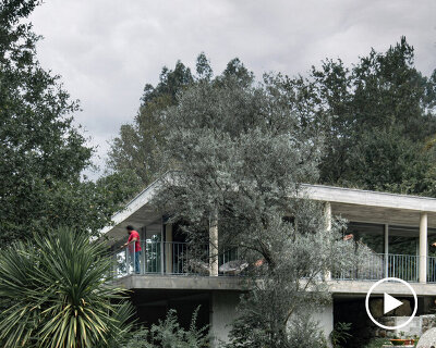 nature takes over the treetop house in northern portugal, designed by joão marques franco