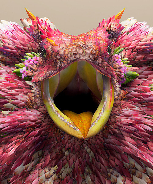 flower petals form fantastical exotic animals in josh dykgraaf's painstaking photomontages
