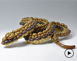 masayoshi matsumoto teaches how to create realistic animal sculptures, using balloons only