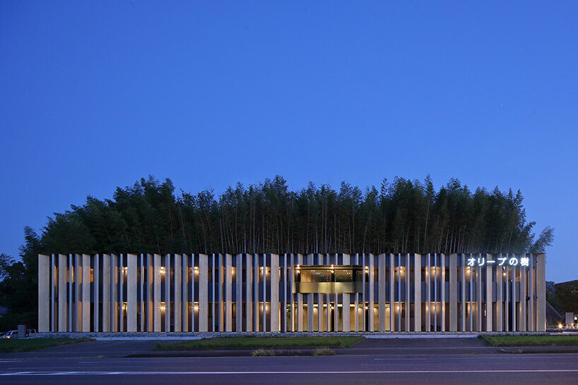 matsuyama architect and associates clads 'olive tree' group home with façade of angled timber louvers