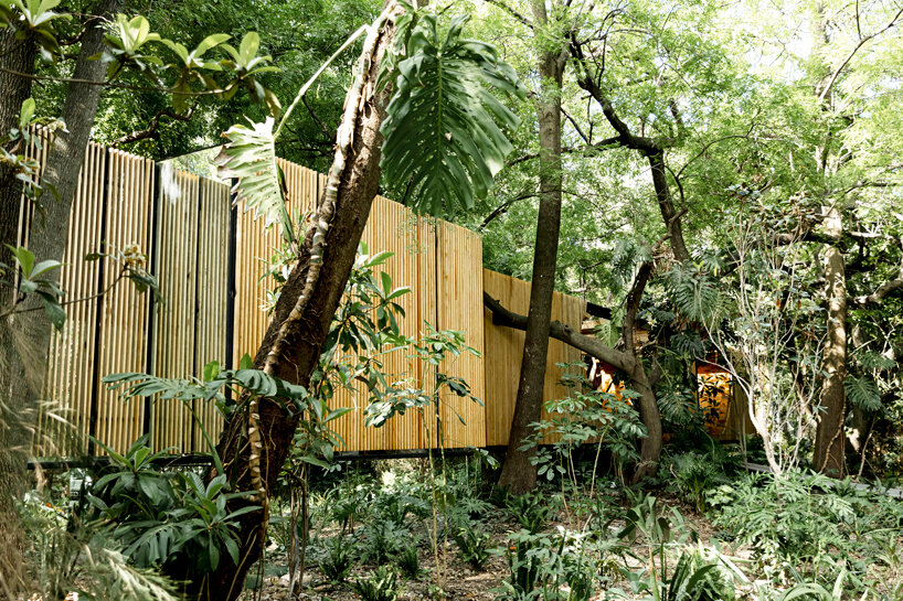 mauricio ceballos x architects completes casa mague in malinalco, mexico designboom
